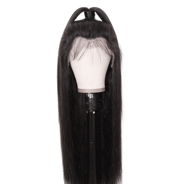 Straight lace wig